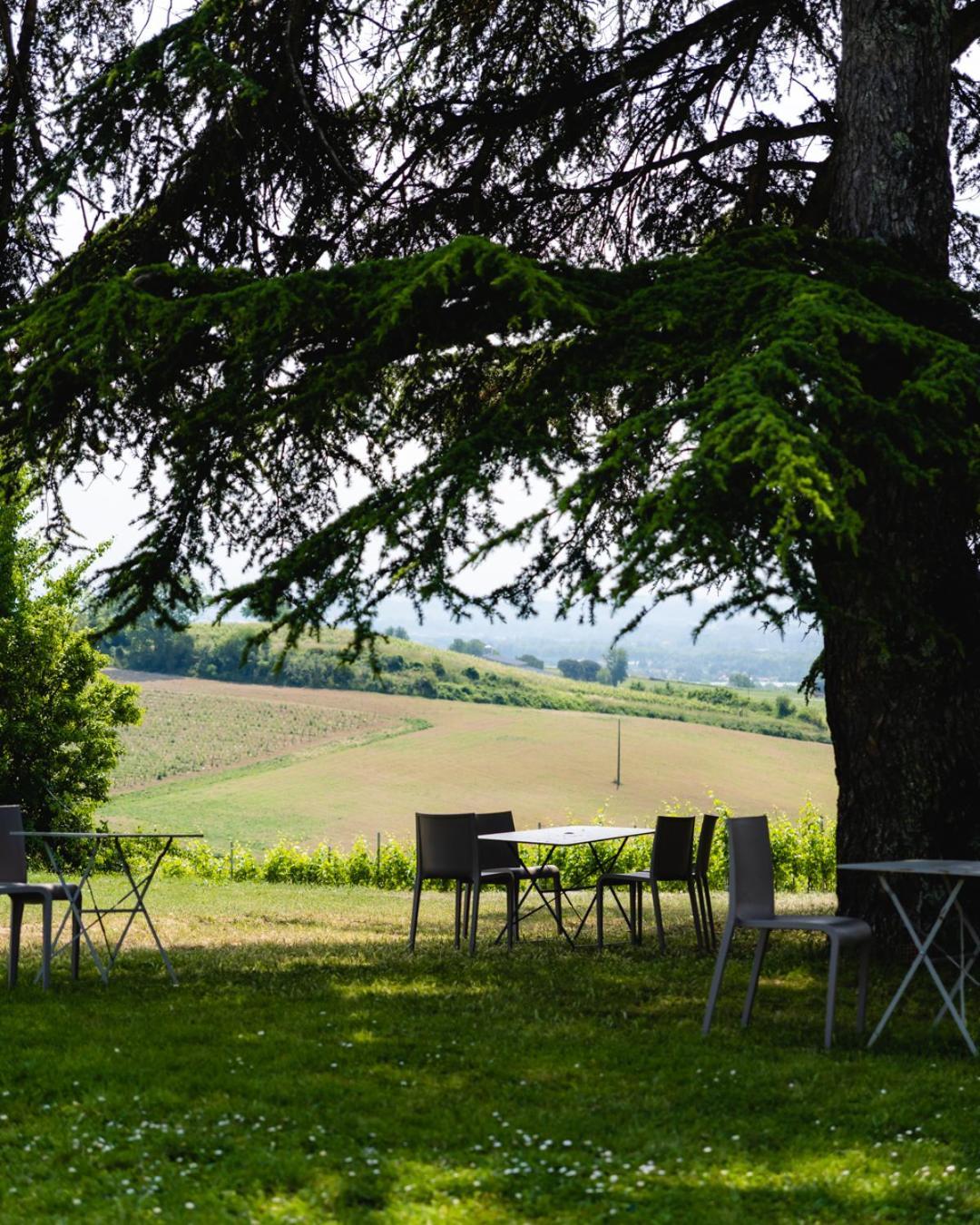 Chateau De Tauzies, The Originals Relais Gaillac Exteriér fotografie